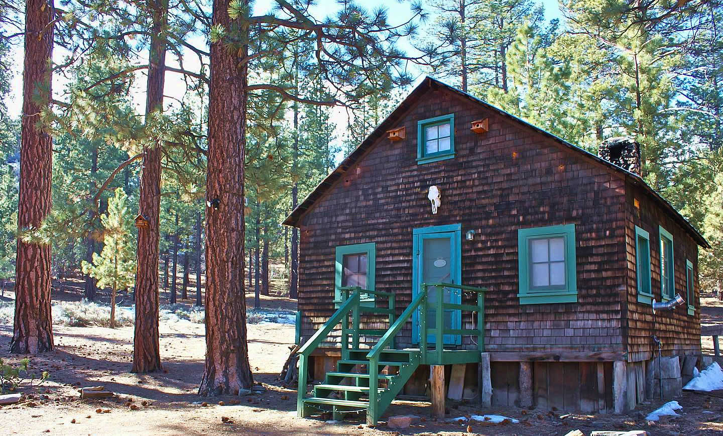 #7 Gold Rush Cabin in Big Bear City