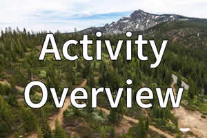 Activity Overview